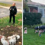 50 Times People Took Their Neighbors By Surprise With Their Halloween Decorations (New Pics)